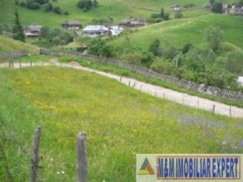 teren-intravilan-4000-mp-de-vanzare-in-dambovicioara-arges-ideal-pentru-dezvoltari-rezidentiale-sau-turistice-3