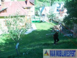 teren-extravilan-5182-mp-de-vanzare-in-valea-rea-dambovicioara-arges-ideal-pentru-proiecte-agricole-si-turistice