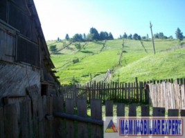 teren-extravilan-5182-mp-de-vanzare-in-valea-rea-dambovicioara-arges-ideal-pentru-proiecte-agricole-si-turistice-1