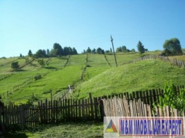 teren-extravilan-5182-mp-de-vanzare-in-valea-rea-dambovicioara-arges-ideal-pentru-proiecte-agricole-si-turistice-2