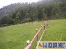 teren-intravilan-3150-mp-de-vanzare-in-valea-urdii-dambovicioara-arges-ideal-pentru-constructii-rezidentiale-sau-turistice