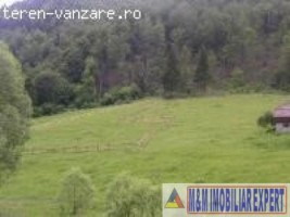 teren-intravilan-3150-mp-de-vanzare-in-valea-urdii-dambovicioara-arges-ideal-pentru-constructii-rezidentiale-sau-turistice-1