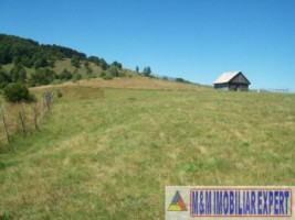 teren-4-ha-intravilan-si-extravilan-de-vanzare-in-ciocanu-dambovicioara-arges-ideal-pentru-dezvoltari-turistice-sau-agricole-3