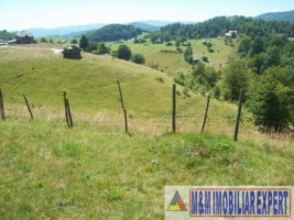 teren-4-ha-intravilan-si-extravilan-de-vanzare-in-ciocanu-dambovicioara-arges-ideal-pentru-dezvoltari-turistice-sau-agricole-4