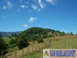 teren-4-ha-intravilan-si-extravilan-de-vanzare-in-ciocanu-dambovicioara-arges-ideal-pentru-dezvoltari-turistice-sau-agricole-9