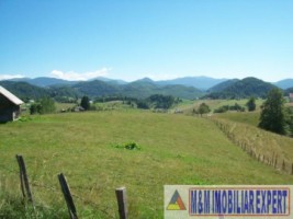 teren-4-ha-intravilan-si-extravilan-de-vanzare-in-ciocanu-dambovicioara-arges-ideal-pentru-dezvoltari-turistice-sau-agricole-11