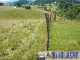 teren-4-ha-intravilan-si-extravilan-de-vanzare-in-ciocanu-dambovicioara-arges-ideal-pentru-dezvoltari-turistice-sau-agricole-6