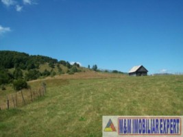 teren-4-ha-intravilan-si-extravilan-de-vanzare-in-ciocanu-dambovicioara-arges-ideal-pentru-dezvoltari-turistice-sau-agricole-7