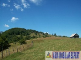 teren-4-ha-intravilan-si-extravilan-de-vanzare-in-ciocanu-dambovicioara-arges-ideal-pentru-dezvoltari-turistice-sau-agricole-8