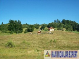 teren-intravilan-132-ha-de-vanzare-in-ciocanu-dambovicioara-arges-ideal-pentru-dezvoltari-turistice-si-rezidentiale-3