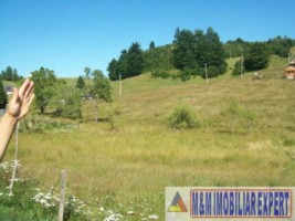 teren-intravilan-132-ha-de-vanzare-in-ciocanu-dambovicioara-arges-ideal-pentru-dezvoltari-turistice-si-rezidentiale-4