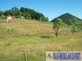 teren-intravilan-132-ha-de-vanzare-in-ciocanu-dambovicioara-arges-ideal-pentru-dezvoltari-turistice-si-rezidentiale-5