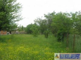 teren-800-mp-intravilan-bughea-de-sus