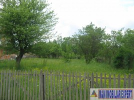 teren-800-mp-intravilan-bughea-de-sus-1