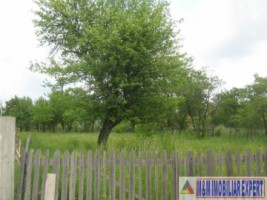 teren-800-mp-intravilan-bughea-de-sus-2