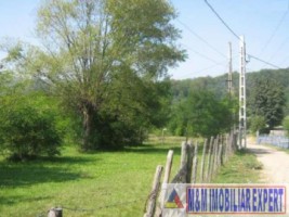 teren-2000-mp-intravilan-de-vanzare-in-bughea-de-jos-arges-ideal-pentru-constructii-rezidentiale-3