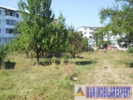 teren-3124-mp-cu-casa-demolabila-campulung-5