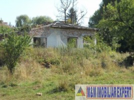 teren-3124-mp-cu-casa-demolabila-campulung-7