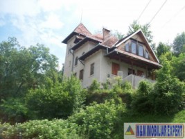 vila-stil-7-camere-teren-2600-mp-dragoslavele-2