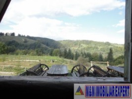 vand-vile-cabane-teren-3500-mp-8-km-rasnov-12-km-poiana-brasov-brasov-8