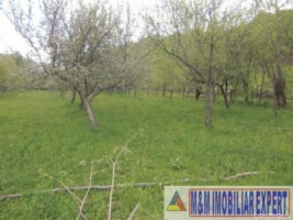 teren-intraextravilan-3600-mp-musatesti-arges-ideal-pentru-constructii-si-agricultura