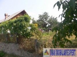 vand-vila-cu-12-camere-si-teren-de-107-hectare-situata-in-namaesti-valea-mare-pravat-arges-1