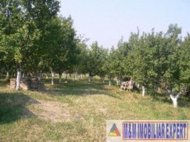 vand-vila-cu-12-camere-si-teren-de-107-hectare-situata-in-namaesti-valea-mare-pravat-arges-6