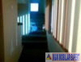 vila-6-camere-teren-2000-mp-musetesti-6