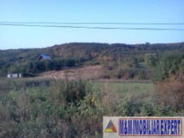 teren-6142-mp-intravilan-de-vanzare-in-gaesti-dambovita-ideal-pentru-constructii-rezidentiale-2