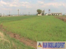 teren-intravilan-3636-mp-autostrada-a1-oarja-arges-1