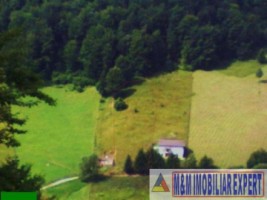 teren-intravilan-2632-mp-de-vanzare-in-valea-urdii-dambovicioara-arges-potrivit-pentru-proiecte-rezidentiale-si-turistice