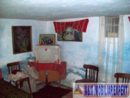 casa-3-camere-teren-2000-mp-hartiesti-10