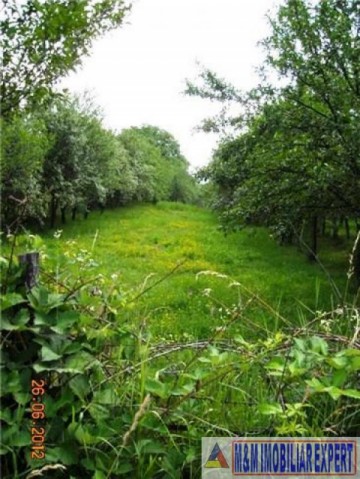 teren-2700-mp-intravilan-mihaesti-1