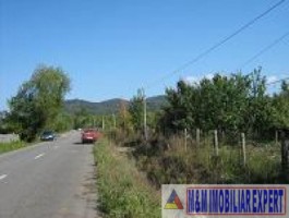 teren-intravilan-2244-mp-in-domnesti-arges-potential-ideal-pentru-dezvoltare-rezidentiala-sau-proiecte-de-afaceri