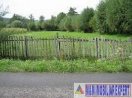 teren-intravilan-2244-mp-in-domnesti-arges-potential-ideal-pentru-dezvoltare-rezidentiala-sau-proiecte-de-afaceri-1