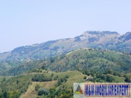 teren-2700-mp-intravilan-bughea-de-jos-4