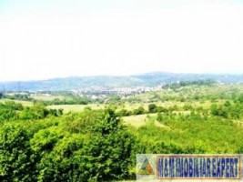 teren-de-vanzare-147-ha-livada-in-valea-romanestilor-campulung-muscel-arges-ideal-pentru-investitie-agricola-1