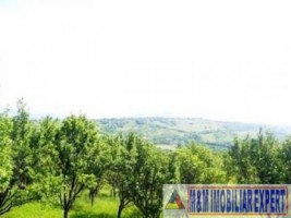 teren-de-vanzare-147-ha-livada-in-valea-romanestilor-campulung-muscel-arges-ideal-pentru-investitie-agricola-2