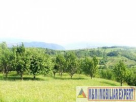 teren-de-vanzare-147-ha-livada-in-valea-romanestilor-campulung-muscel-arges-ideal-pentru-investitie-agricola-3