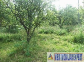 teren-intravilan-de-vanzare-2367-mp-in-flamanda-campulung-muscel-arges-ideal-pentru-constructii-rezidentiale-1