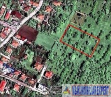 teren-intravilan-de-vanzare-2367-mp-in-flamanda-campulung-muscel-arges-ideal-pentru-constructii-rezidentiale-10