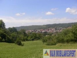 teren-intravilan-de-vanzare-9200-mp-in-flamanda-campulung-muscel-arges-ideal-pentru-dezvoltare-rezidentiala-sau-comerciala