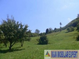 teren-intravilan-de-vanzare-9200-mp-in-flamanda-campulung-muscel-arges-ideal-pentru-dezvoltare-rezidentiala-sau-comerciala-6