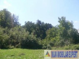 teren-intravilan-de-vanzare-9200-mp-in-flamanda-campulung-muscel-arges-ideal-pentru-dezvoltare-rezidentiala-sau-comerciala-7