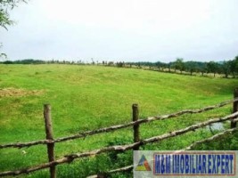 teren-extravilan-21-ha-jugur-poienarii-de-muscel-mihaesti-arges-ideal-pentru-agricultura