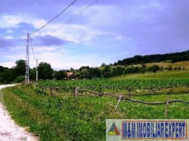 teren-extravilan-21-ha-jugur-poienarii-de-muscel-mihaesti-arges-ideal-pentru-agricultura-1