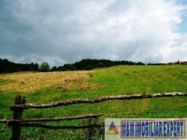 teren-extravilan-21-ha-jugur-poienarii-de-muscel-mihaesti-arges-ideal-pentru-agricultura-2