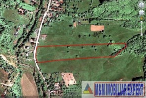 teren-extravilan-21-ha-jugur-poienarii-de-muscel-mihaesti-arges-ideal-pentru-agricultura-9