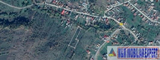 teren-intravilan-800-mp-de-vanzare-in-aninoasa-ideal-pentru-constructii-rezidentiale-6