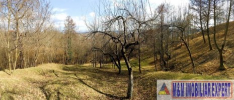 teren-3000-mp-intravilan-campulung-muscel-central-arges-7